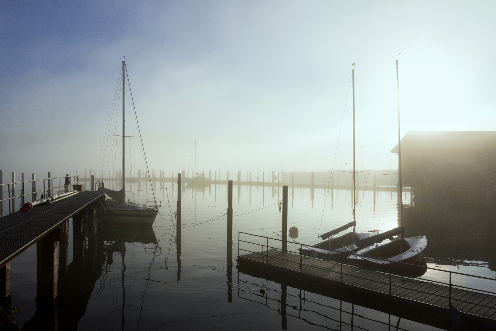 Frühnebel am Bodensee