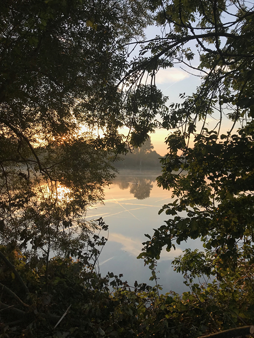 schöner Blick