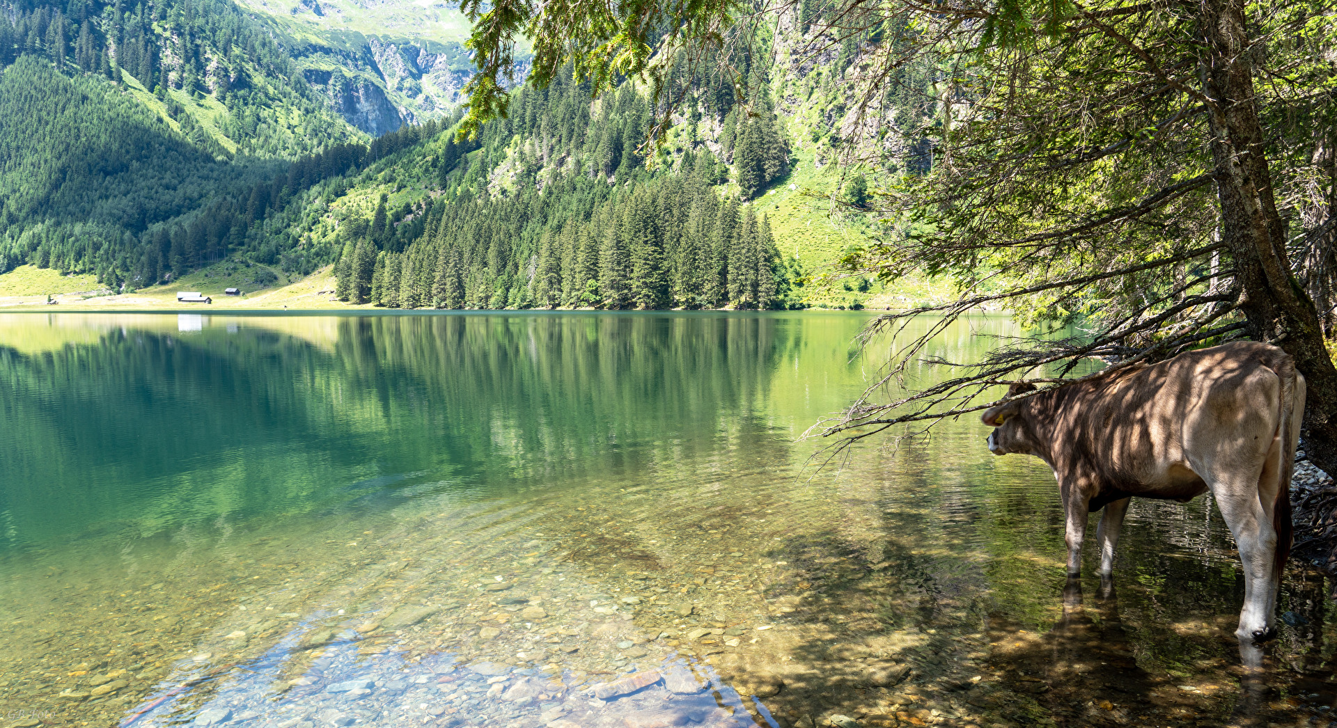Der Schwarzensee im Steirischen Ennstal