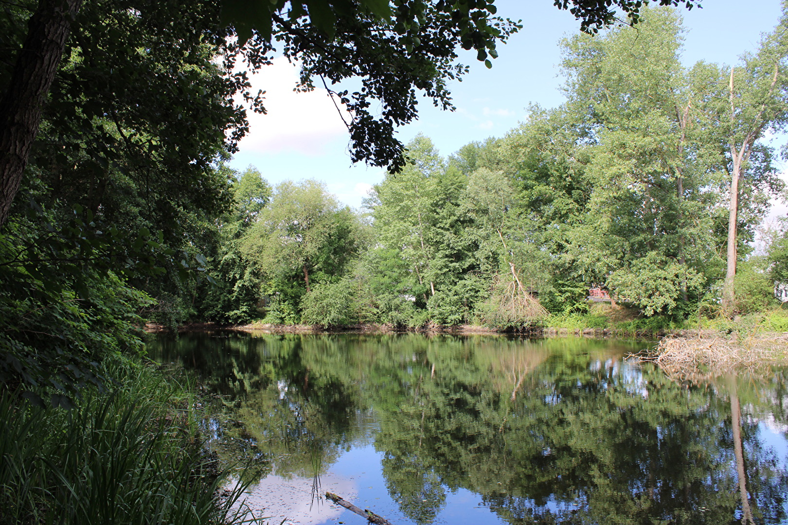 Der alte Saale-arm in Leisling