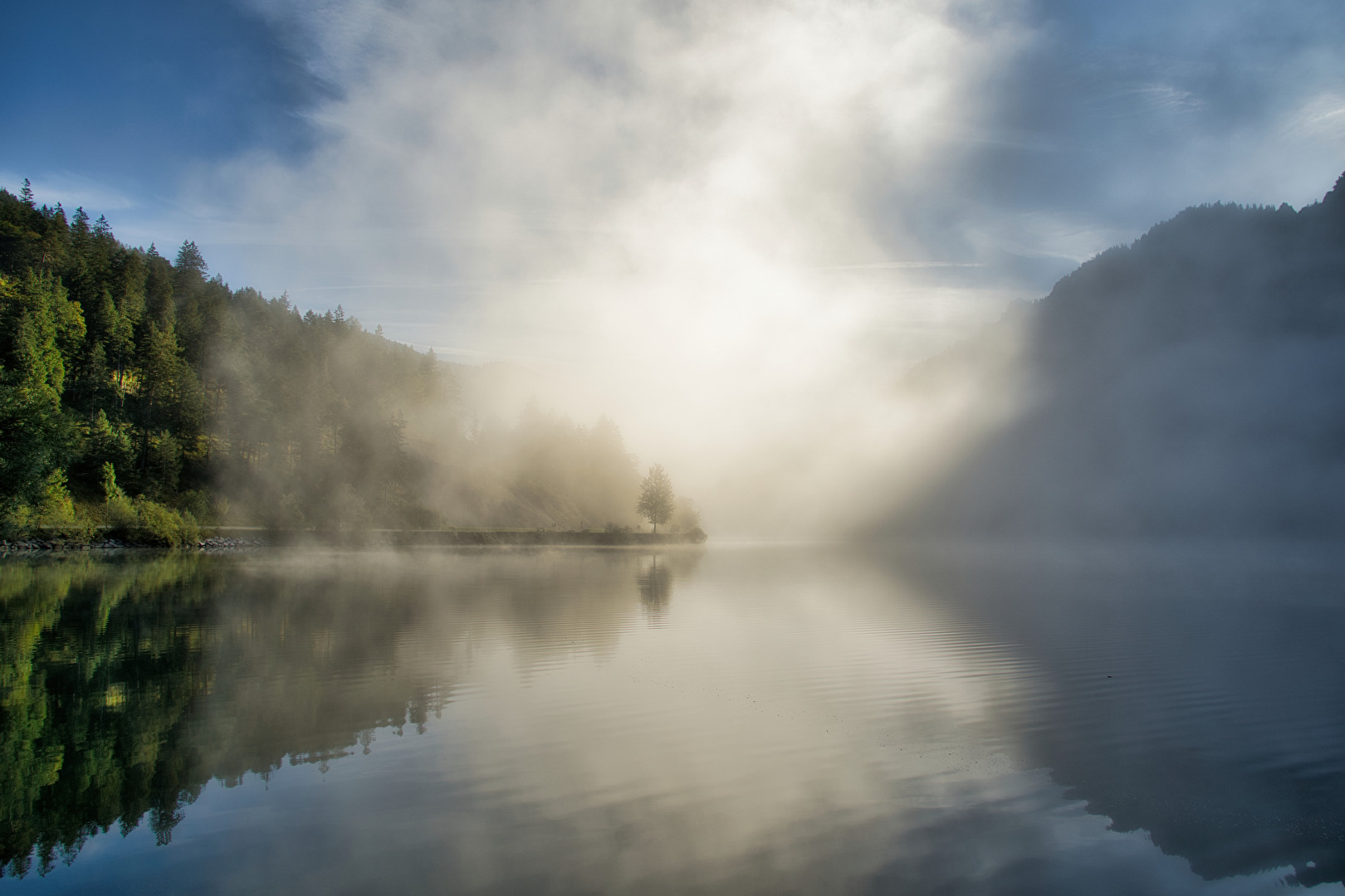 Nebelstimmung am See