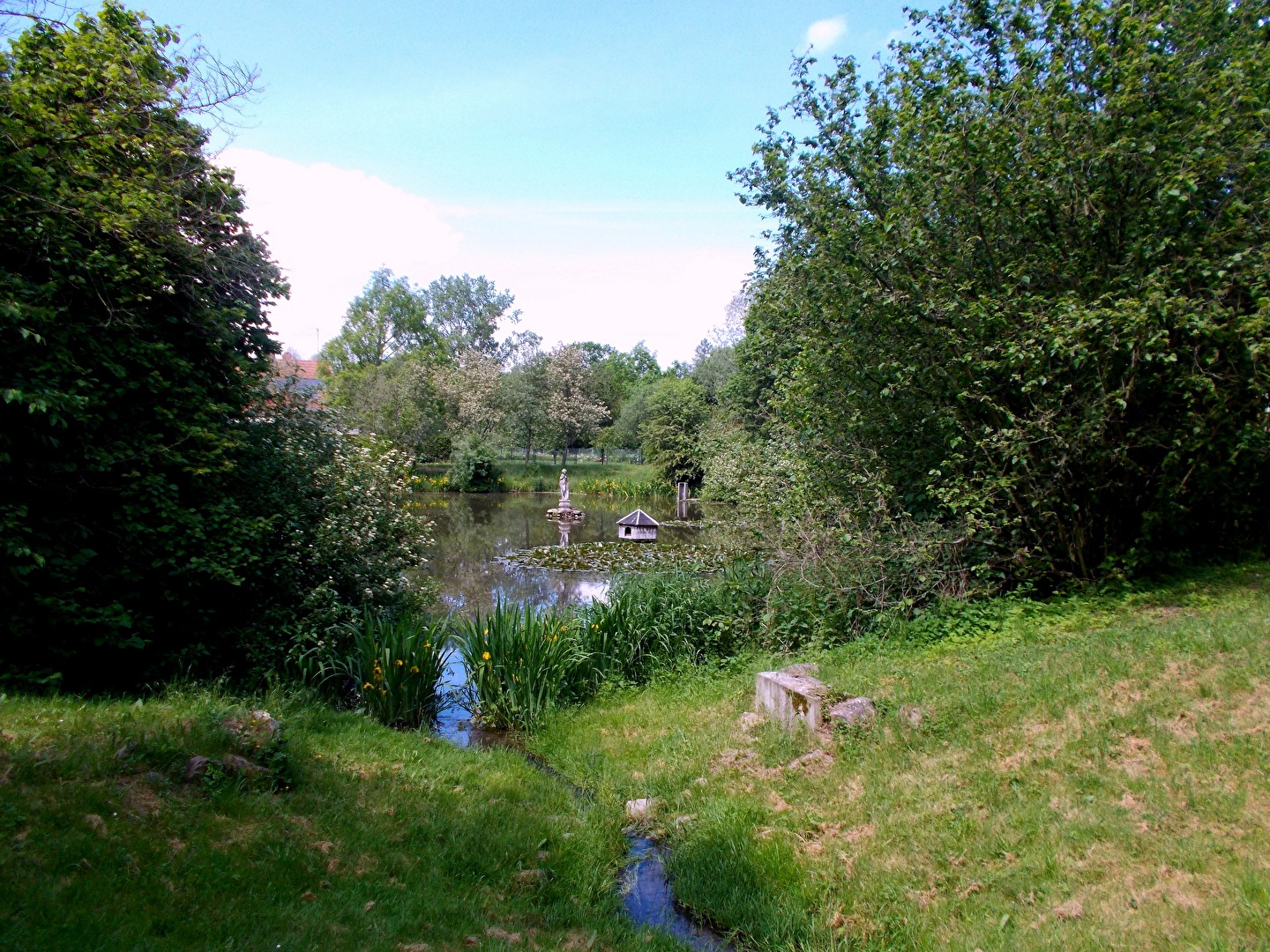 Der Mühlteich in Löbitz