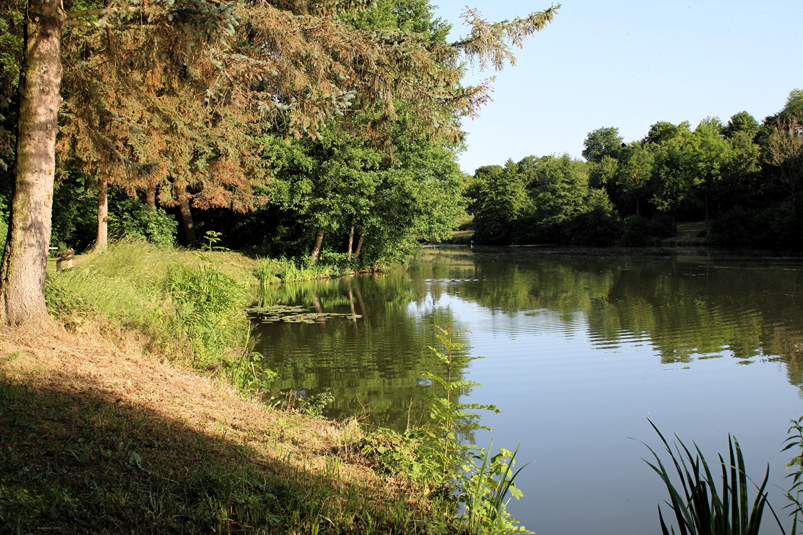 Am Ufer des Emesenteich