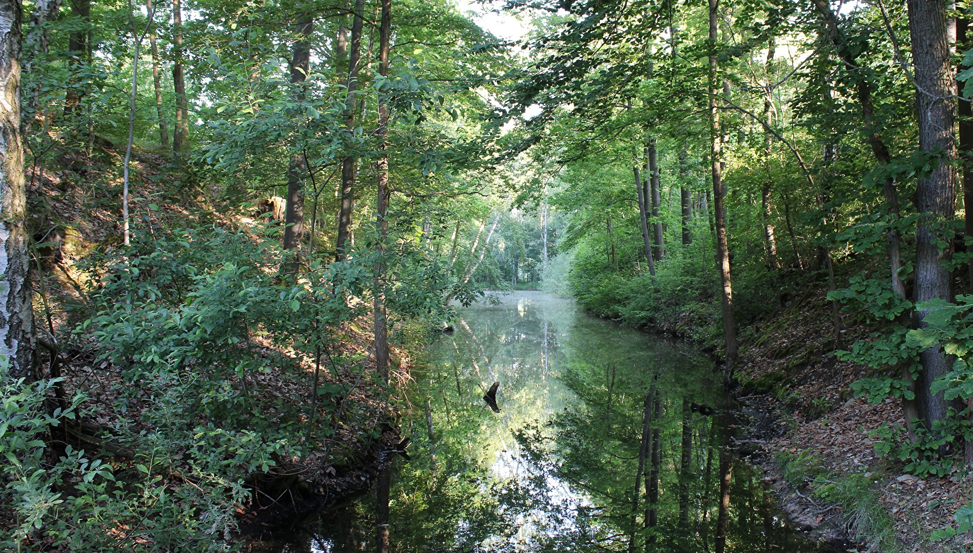 Licht, Schatten und Spiegelung