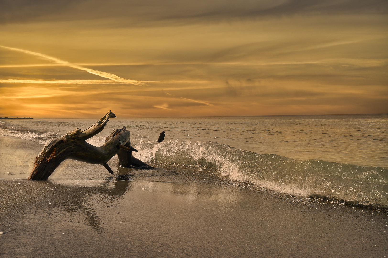 am Strand von Prerow auf dem Darß