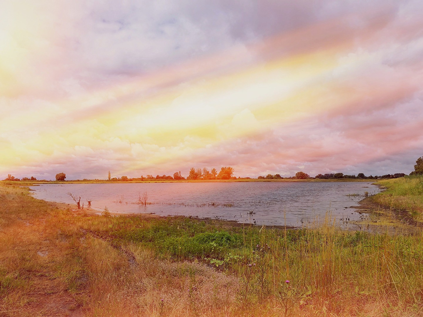 aus dem grauen Foto ein farbiges Foto gestaltet