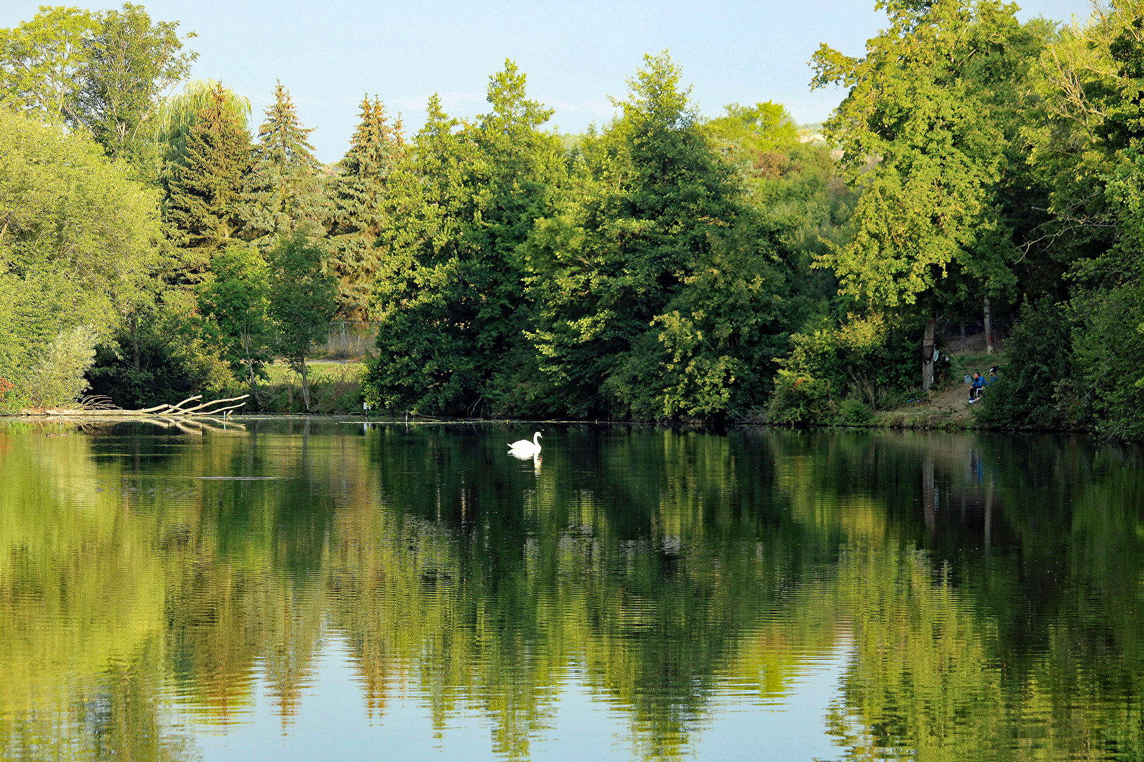 Der Emsenteich in Bad Sulza / Thüringen
