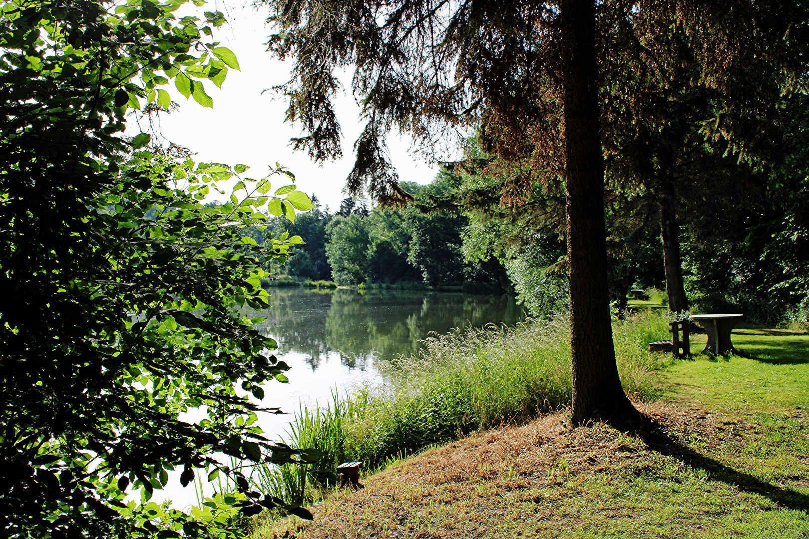 Spaziergang am Teich