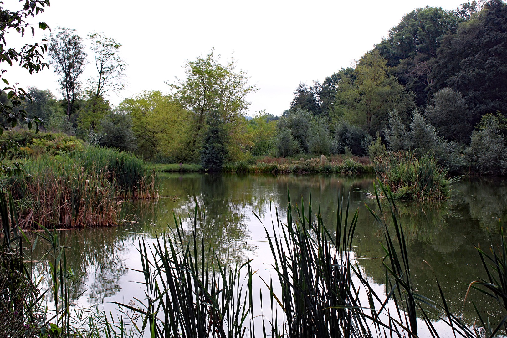 Emsenteich, hinterer Teil