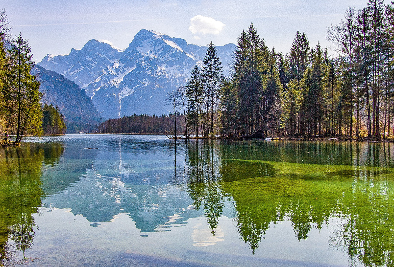 Am See 5