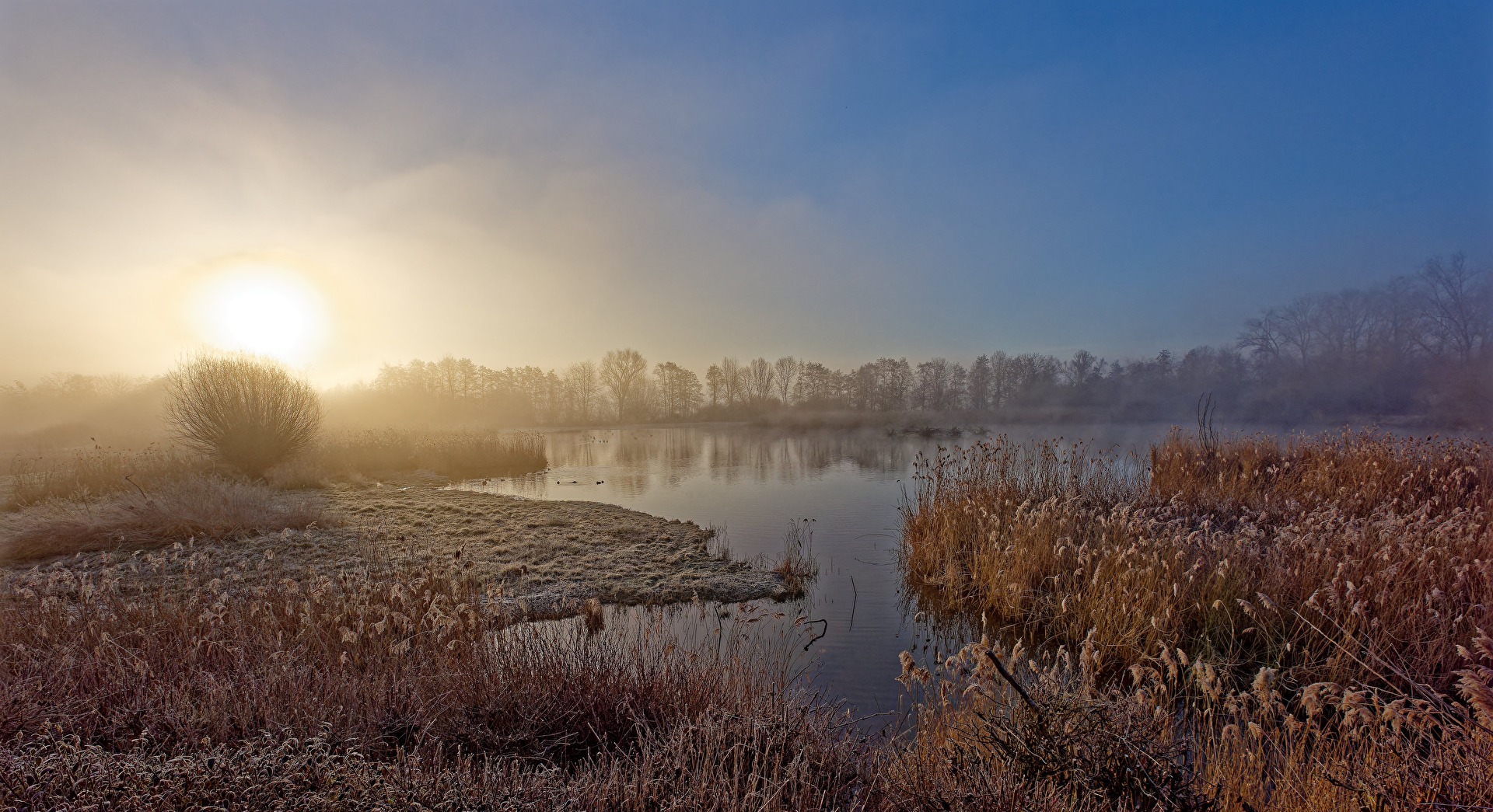 Sonnenaufgang früh morgens am Teich