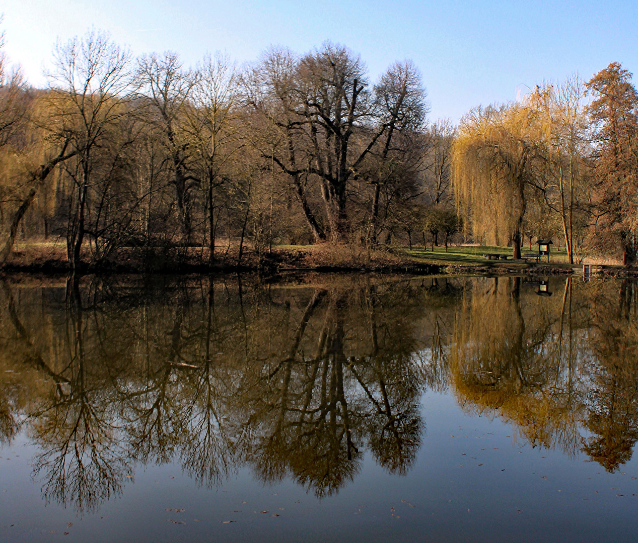 Der Schafteich
