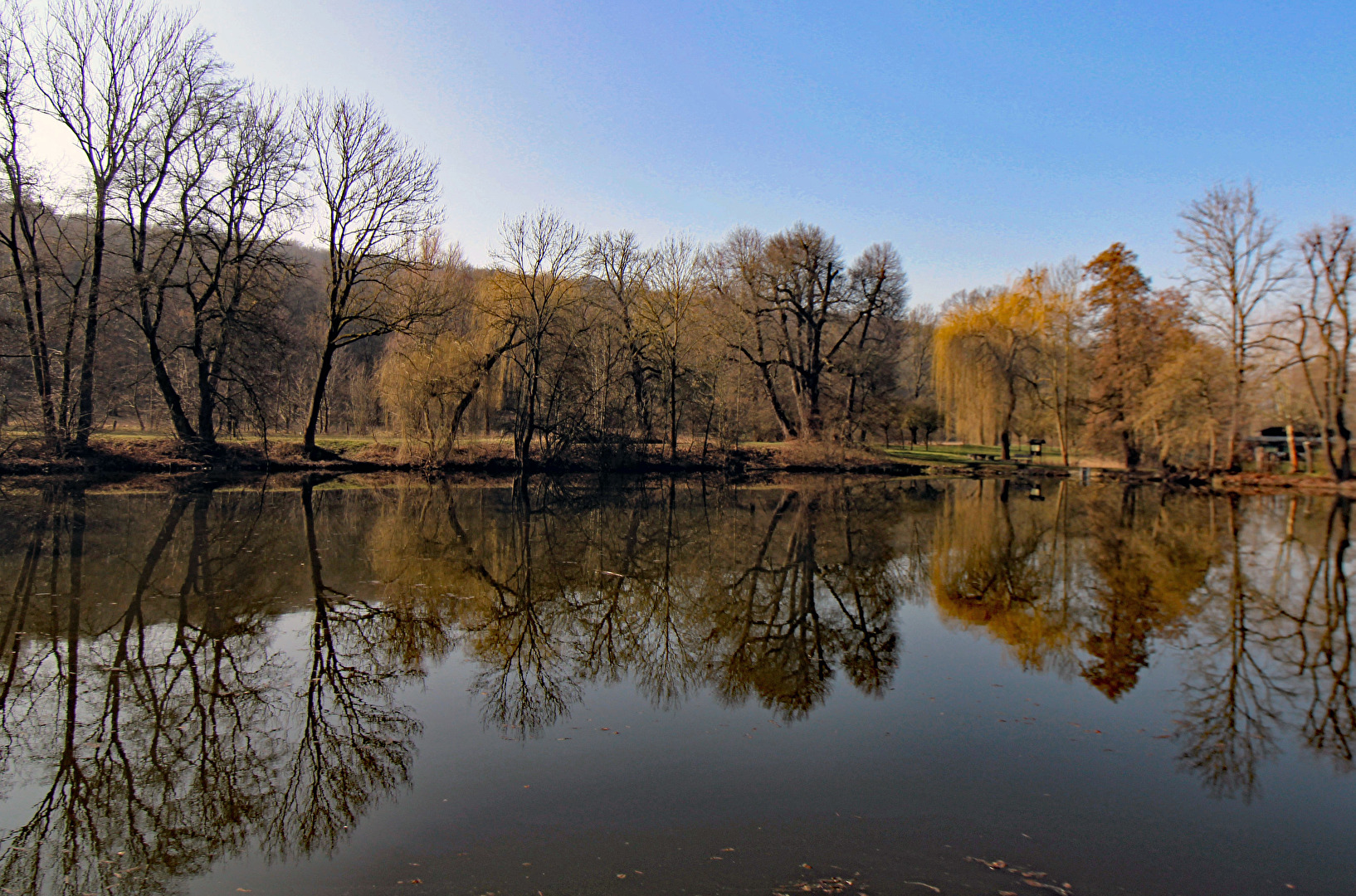 Der Schafteich