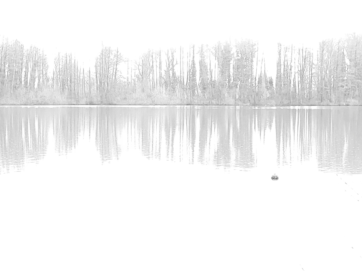 Am See