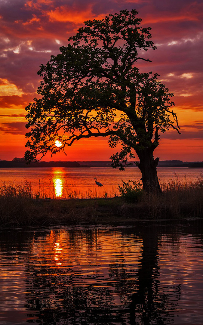 Sonnenuntergang an der Müritz... Abendrot