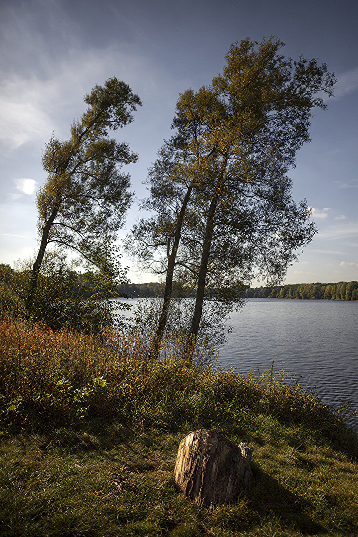 STAUSEE