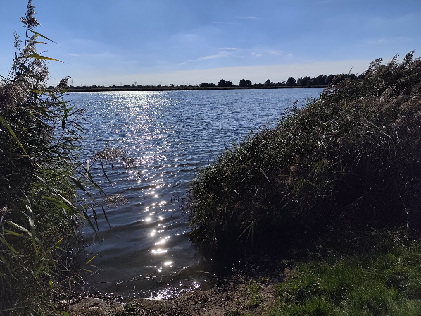 tanzende Sterne im Wasser