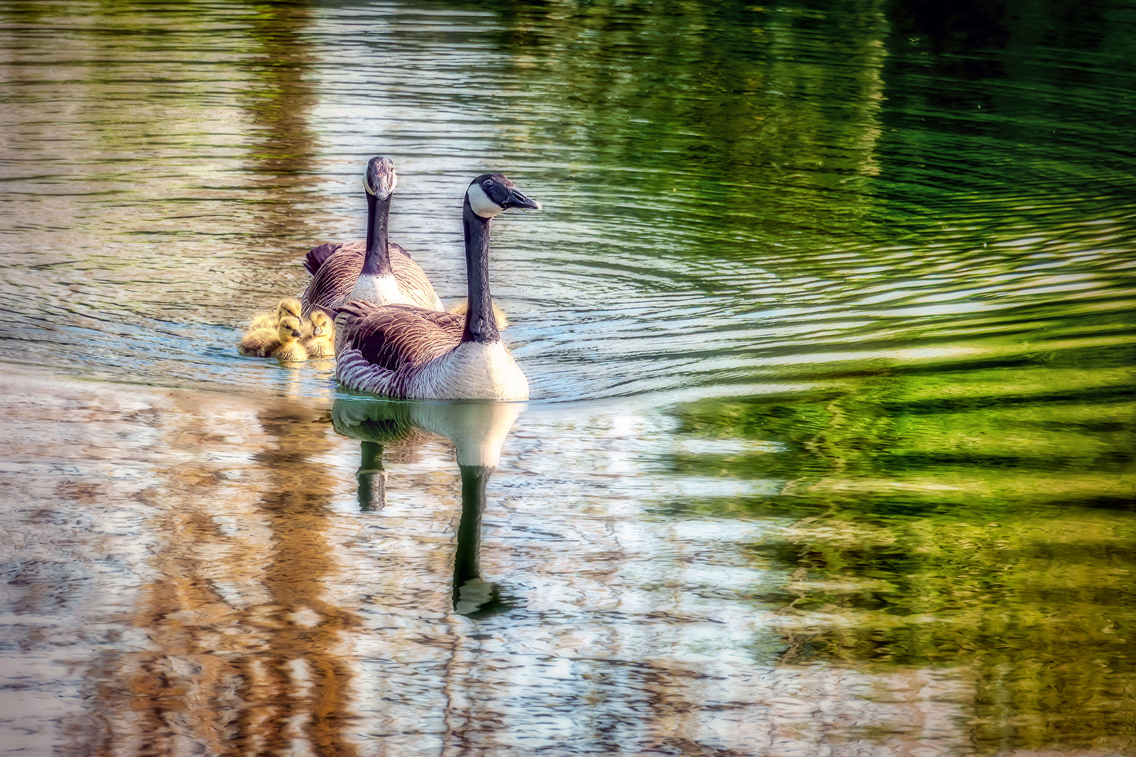 Am See II
