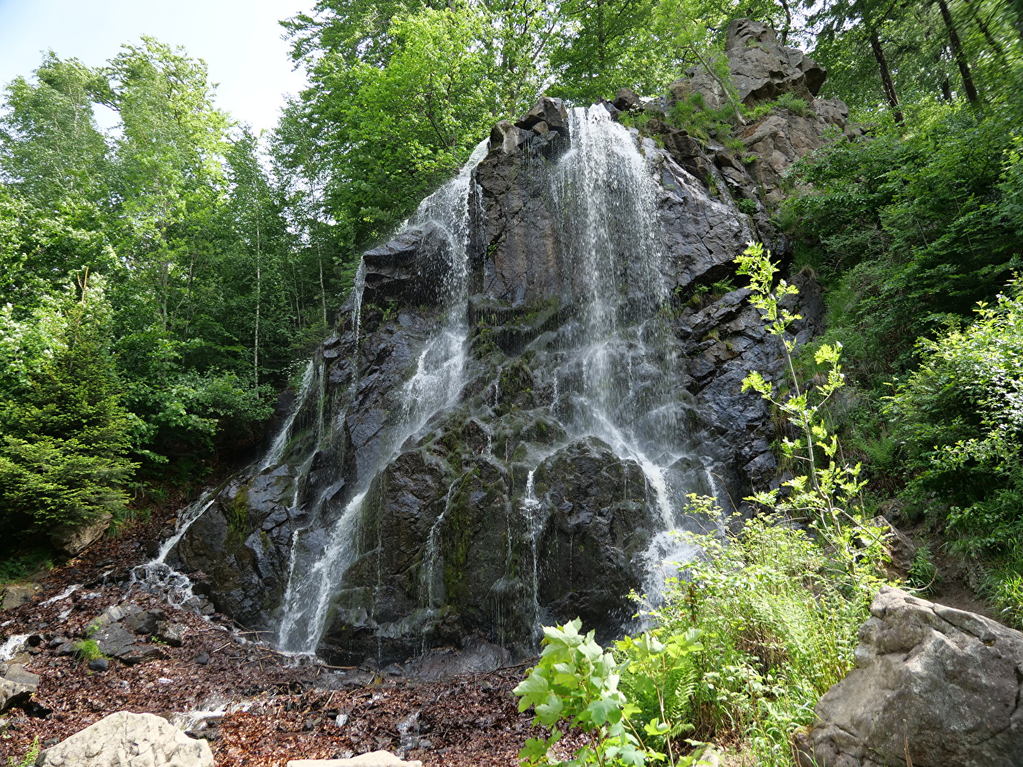 Wasserfall im Harz