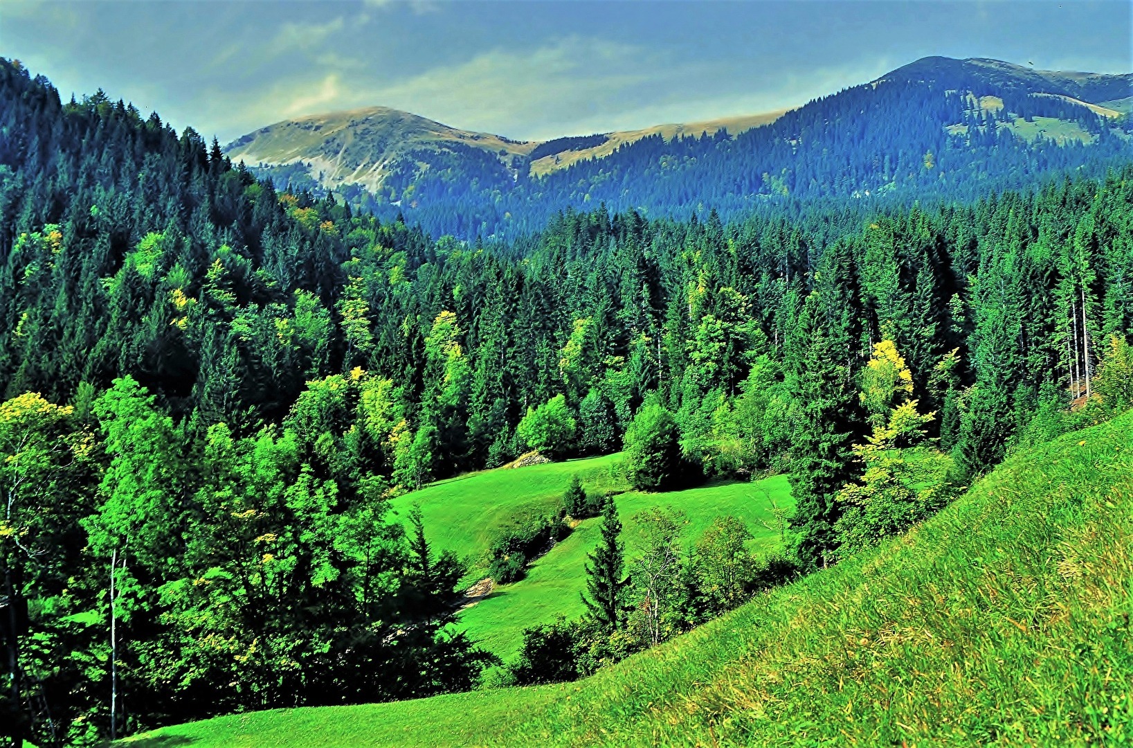 " Auf der Alm "