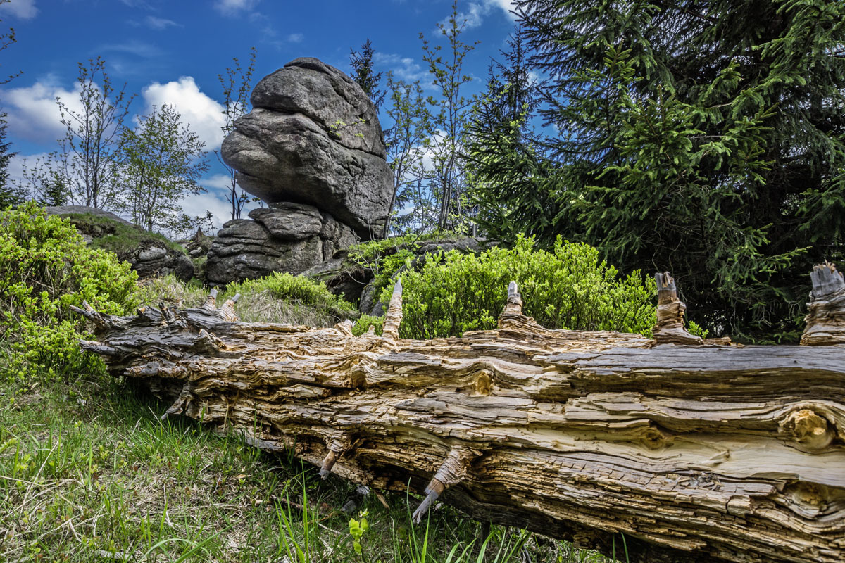 Raubschützenfelsen (Pytlácké kameny)