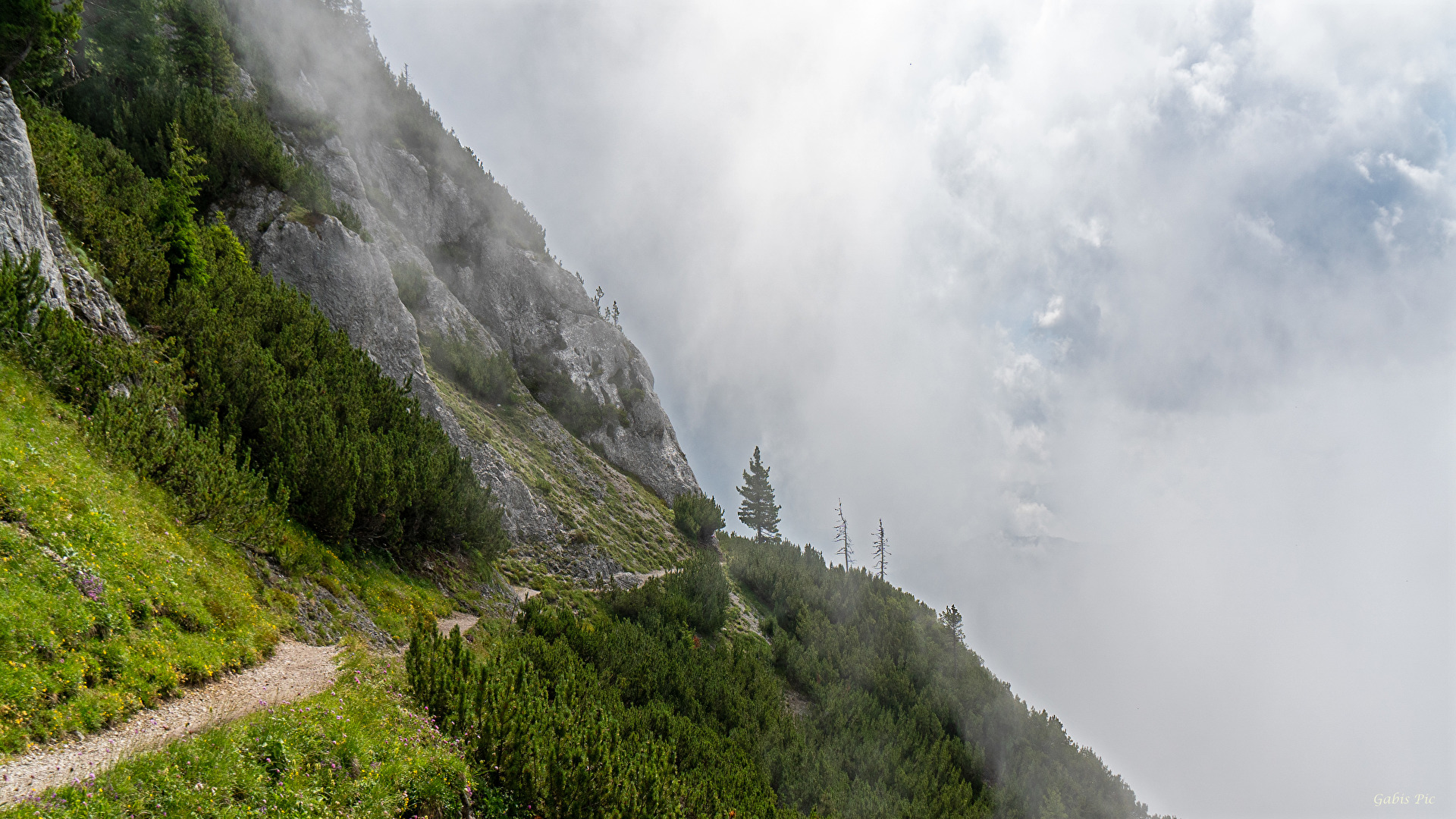 Der Weg ins Ungewisse