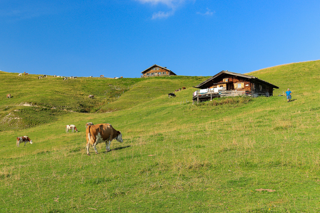 Im Hochgebirge