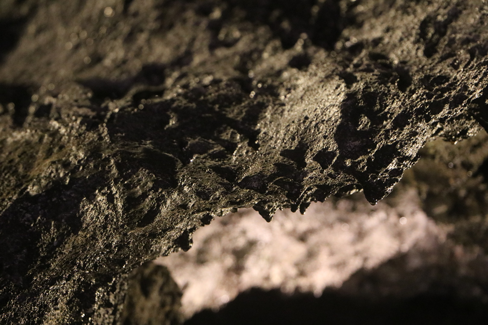 Grutas de Sao Vicente