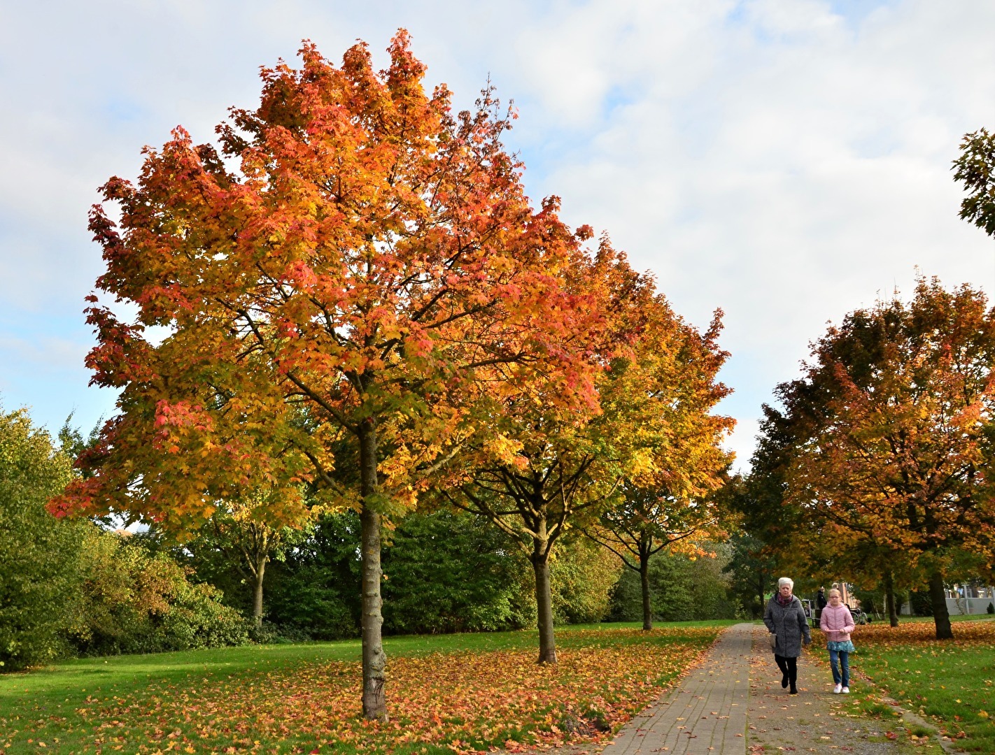 " Herbst - Spaziergang "