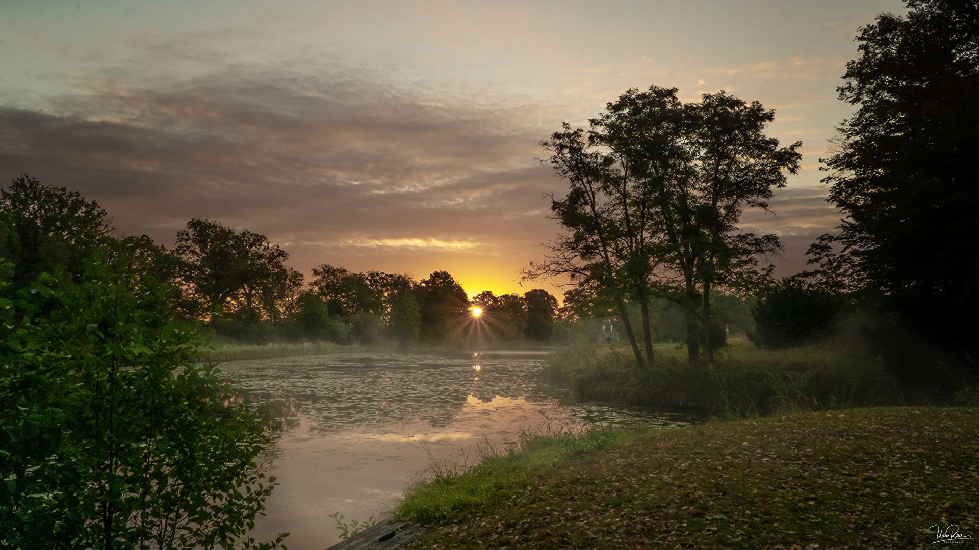 Sonnenaufgang im Wörlitzer Park