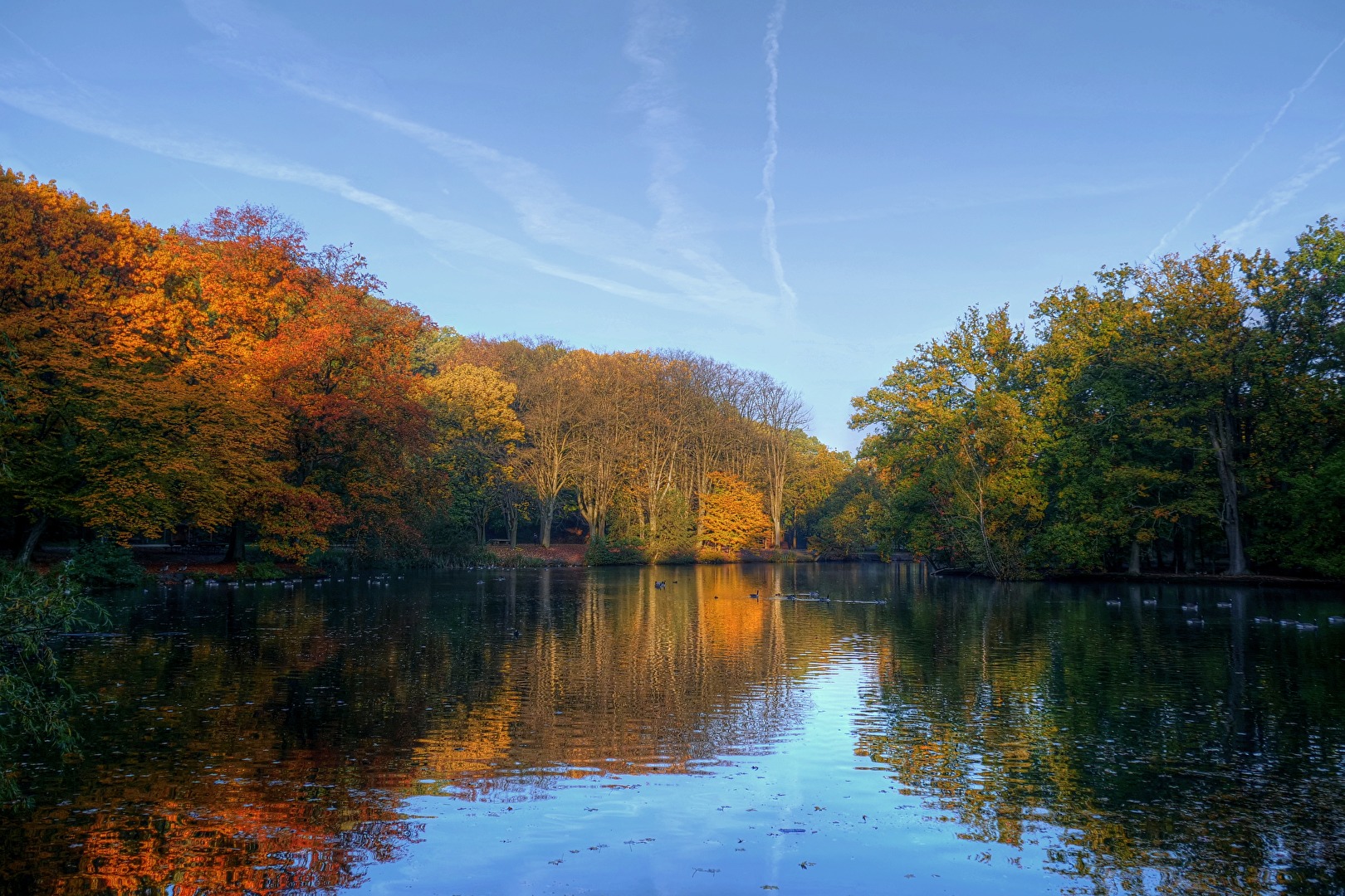 Herbst im Stadtwald