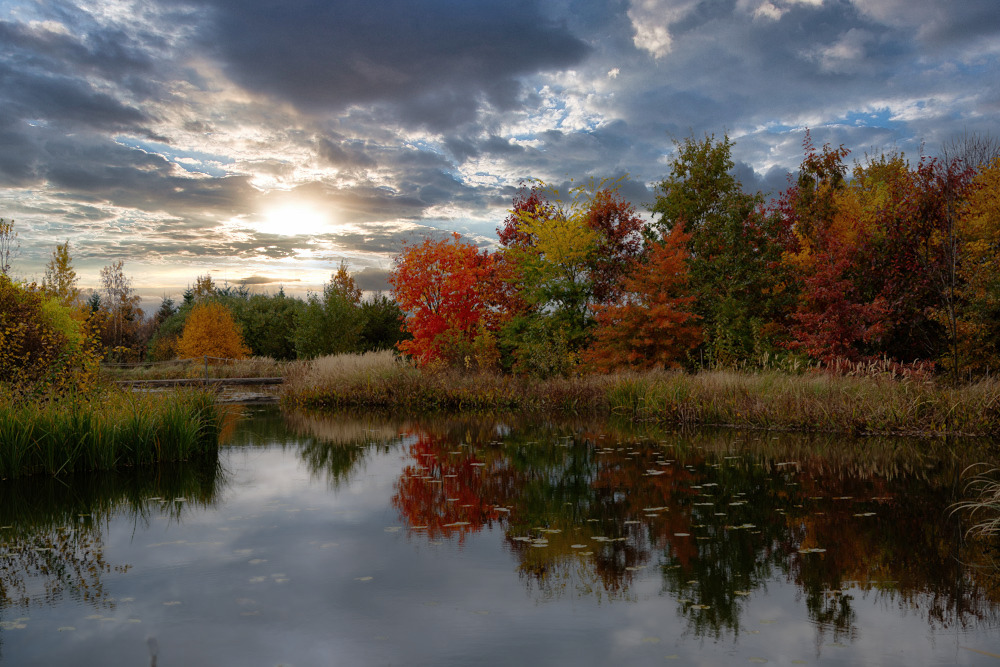 Forst Botanischer Garten Tharandt