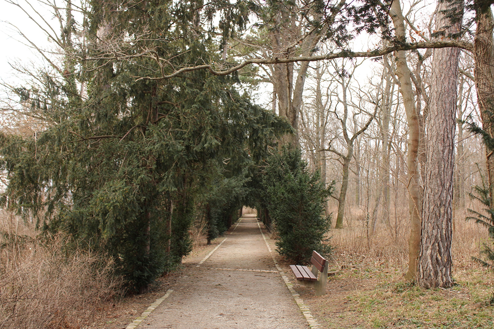 Ein künstlicher Tunnel