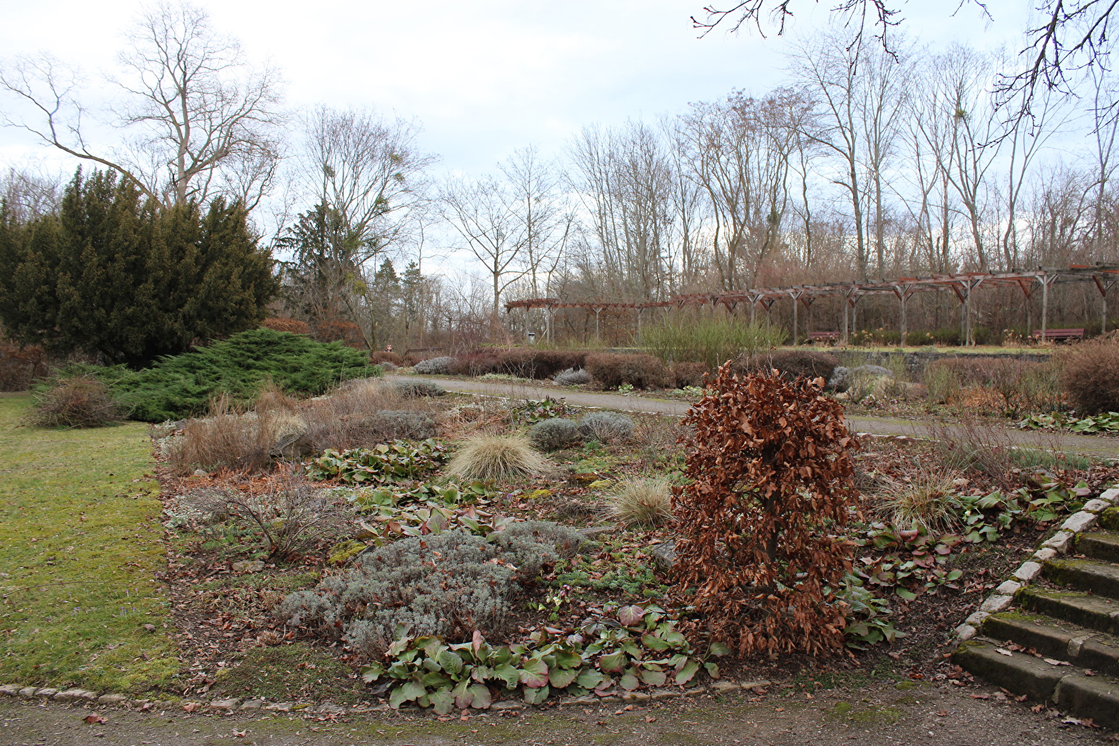 Garten mit Pergola