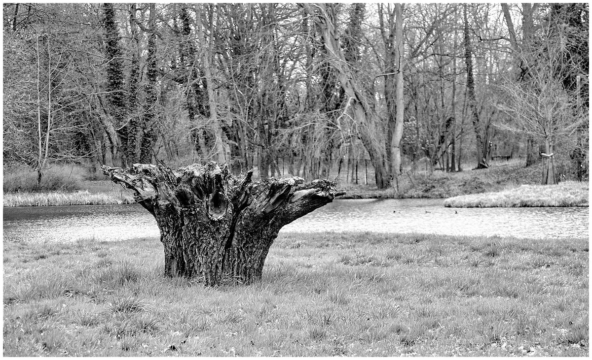 Schloss Burgkemnitz  06