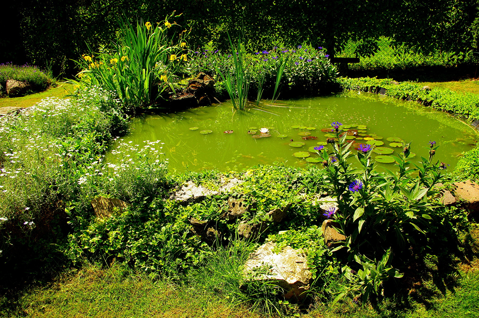 Foto eines Jugendfreundes.