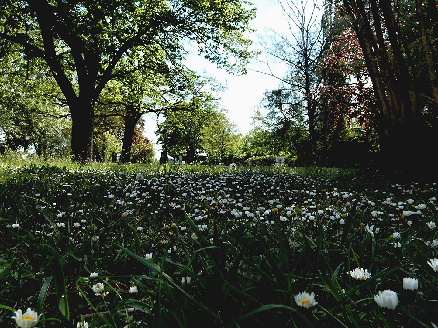 unser Park