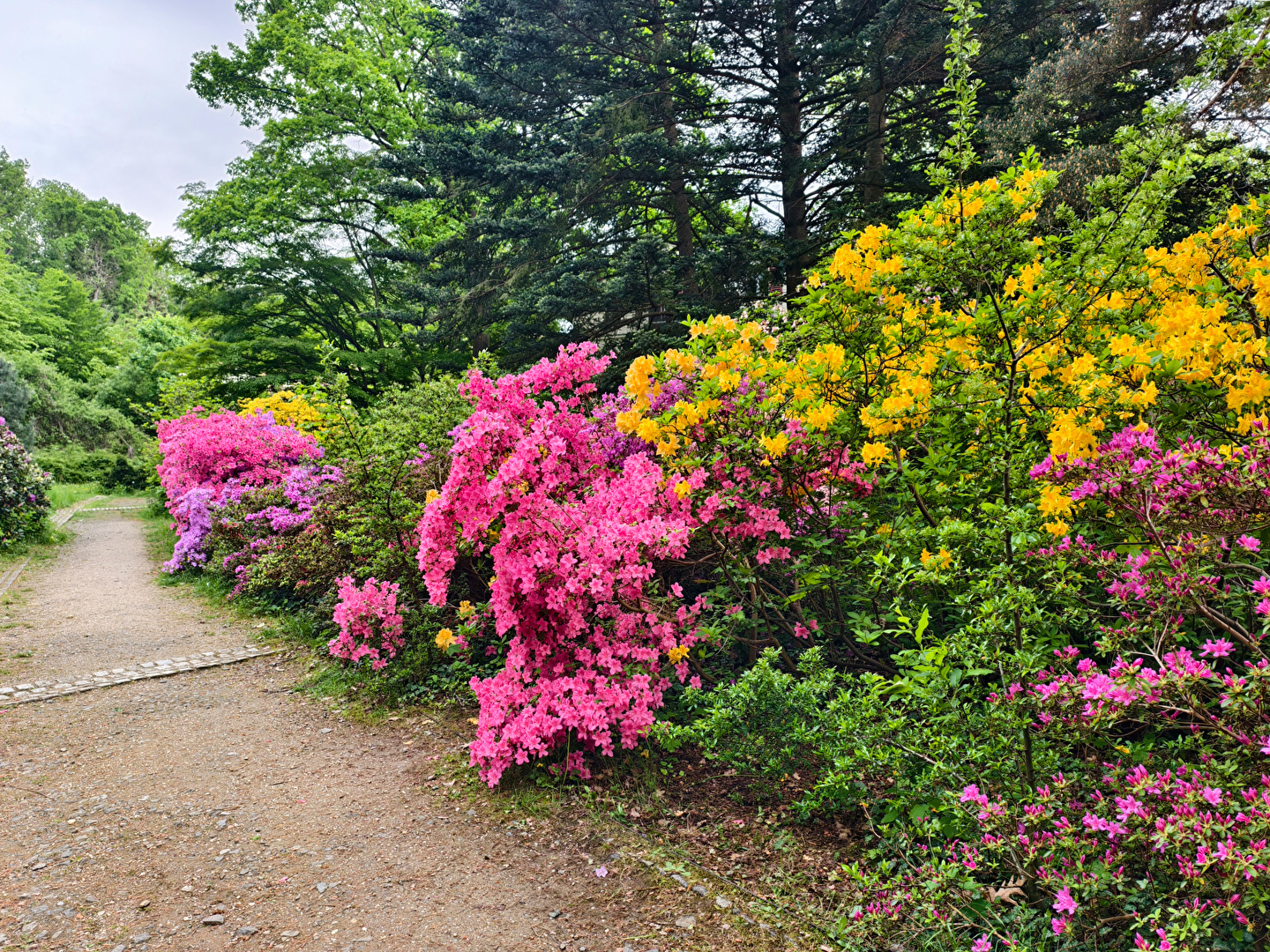 Blumen