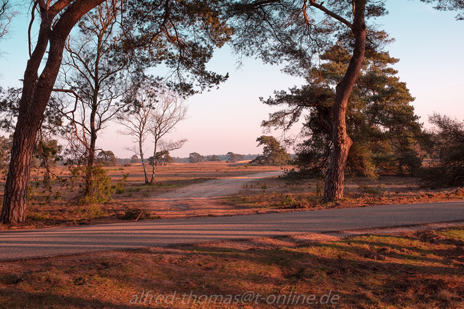 Hoge Veluwe