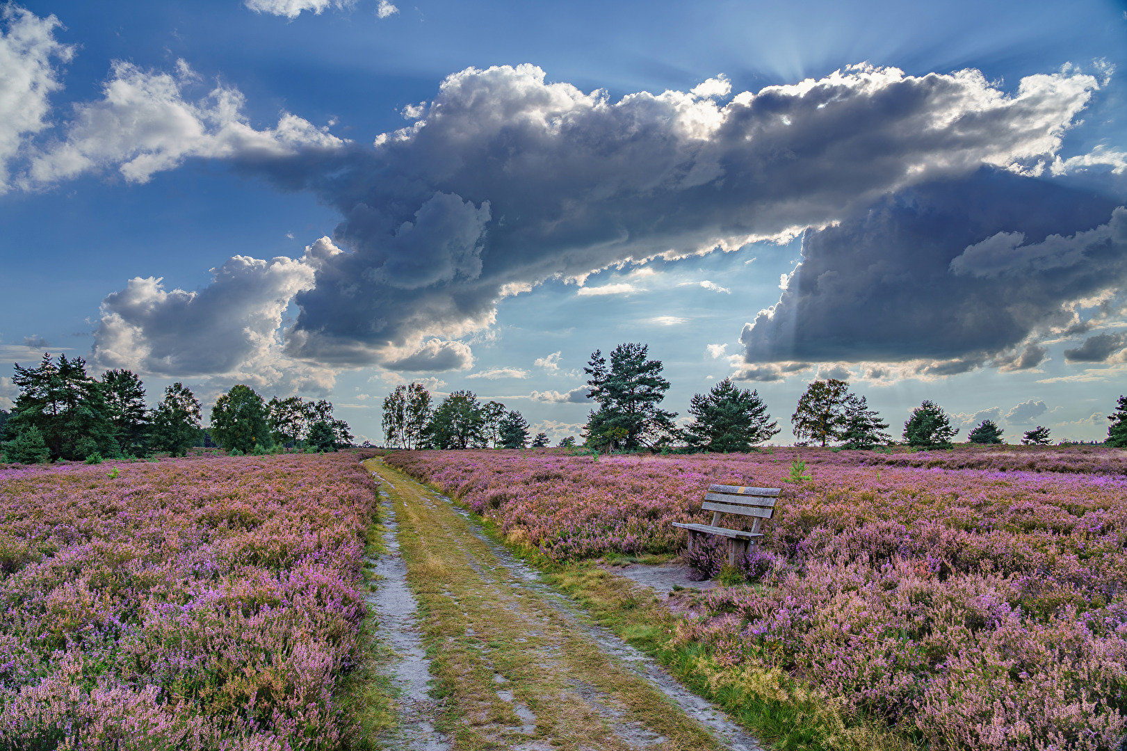 Dramatischer Himmel über der Heide