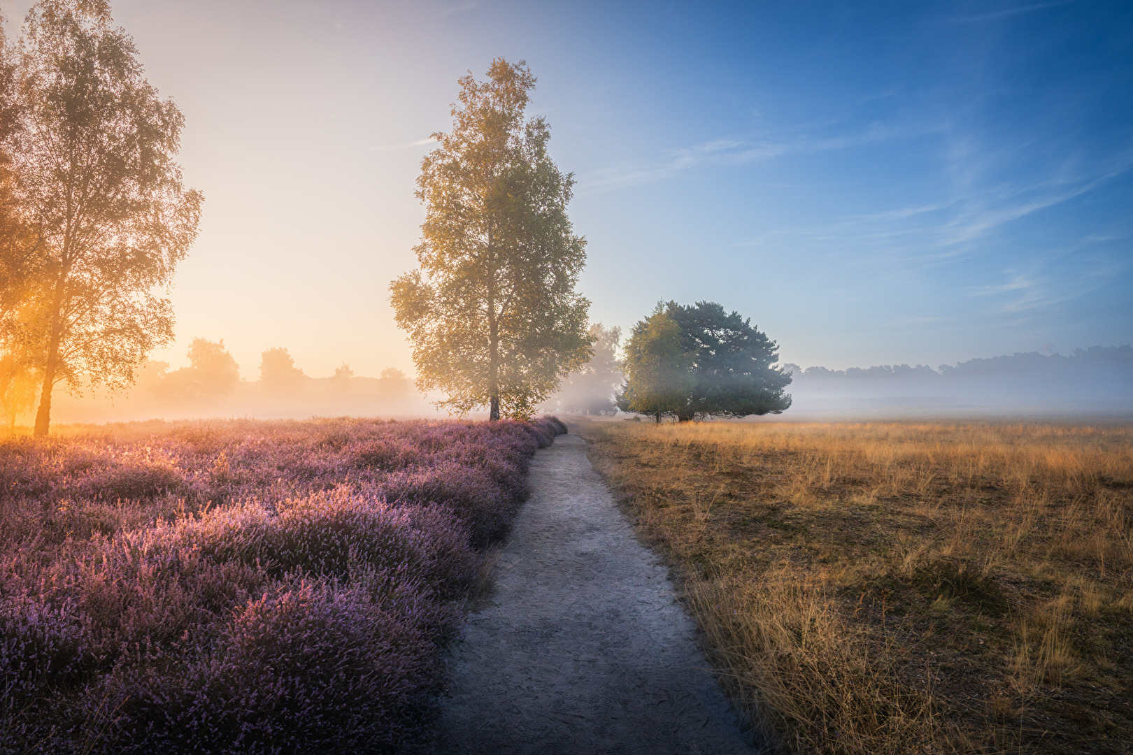 Zwischen Sommer und Herbst