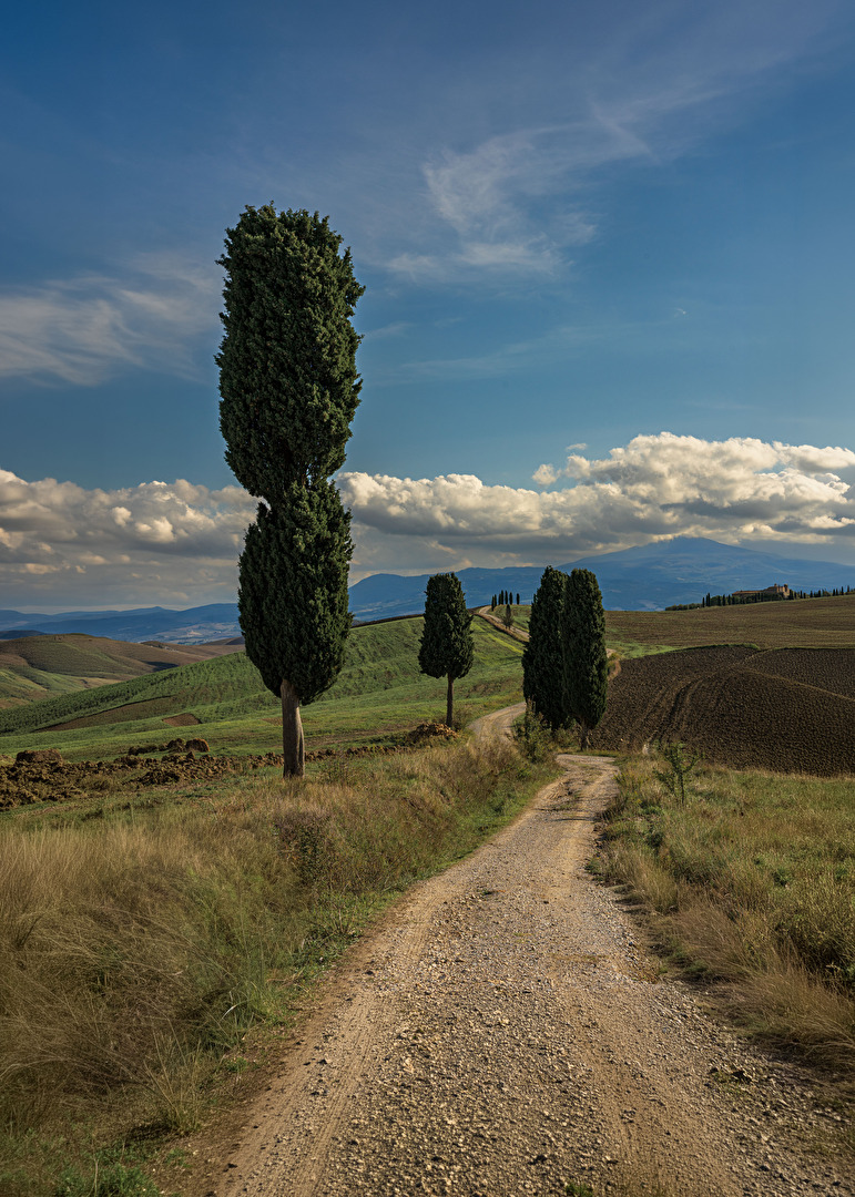 Val d'Orcia, Pienza, Toskana