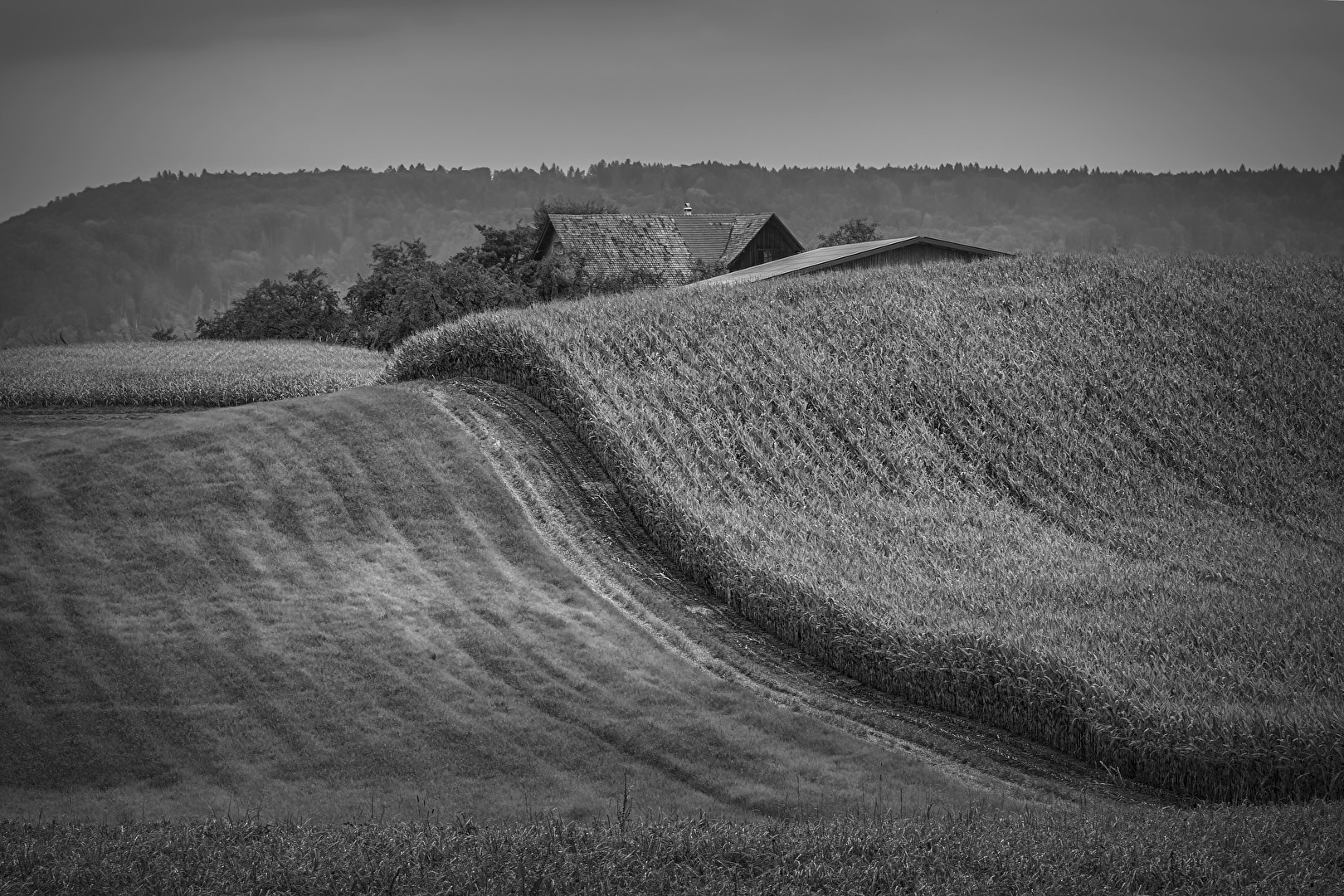 Berg und Tal Fahrt...