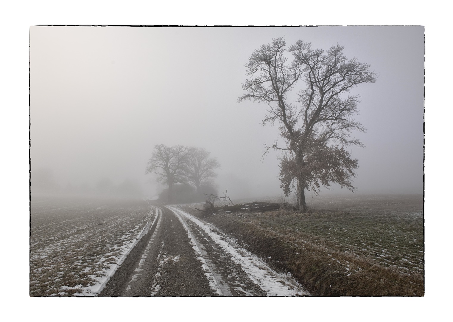 ob die Sonne sich noch durchsetzt?