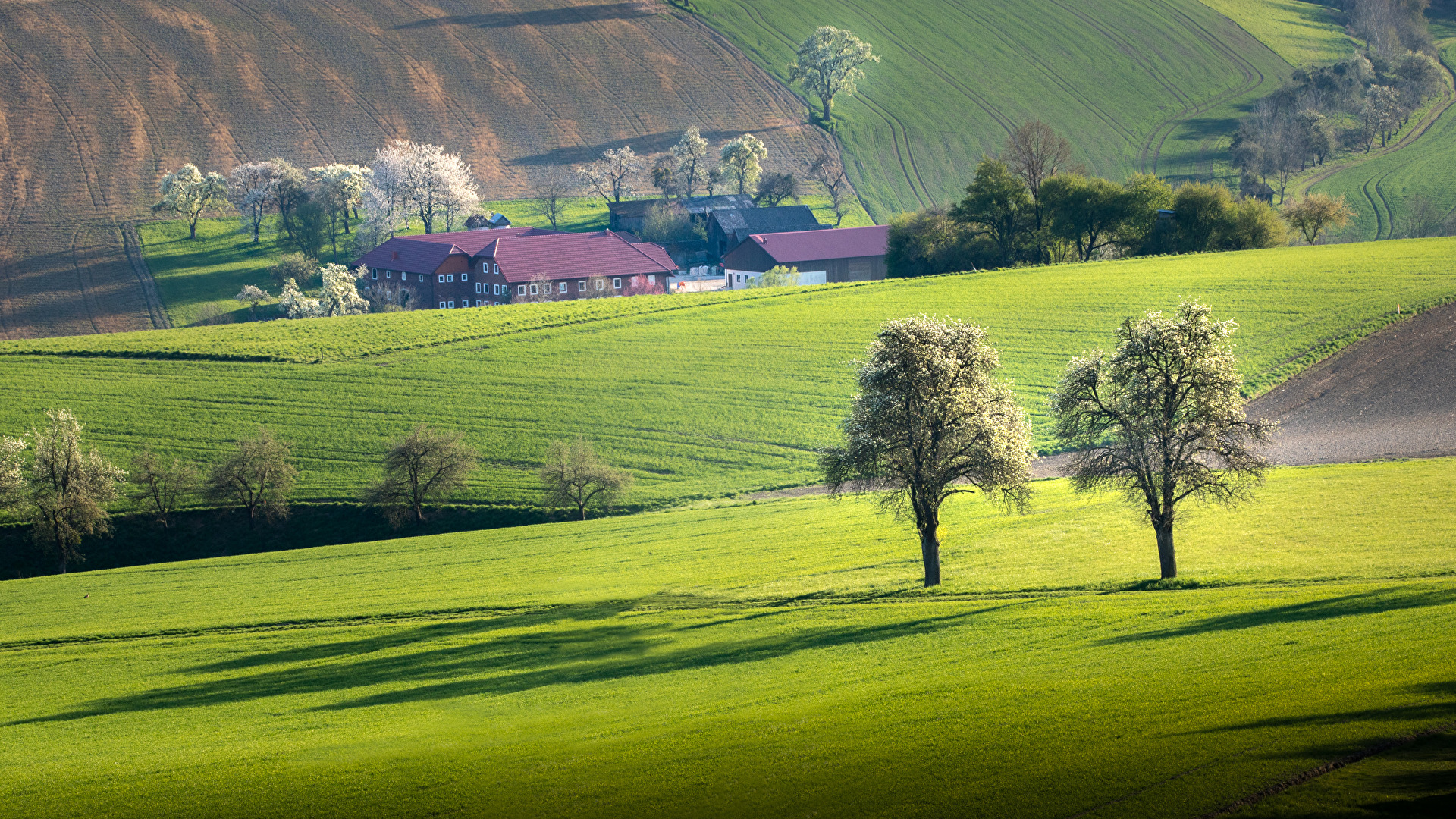 Wiesen und Felder #Frühling