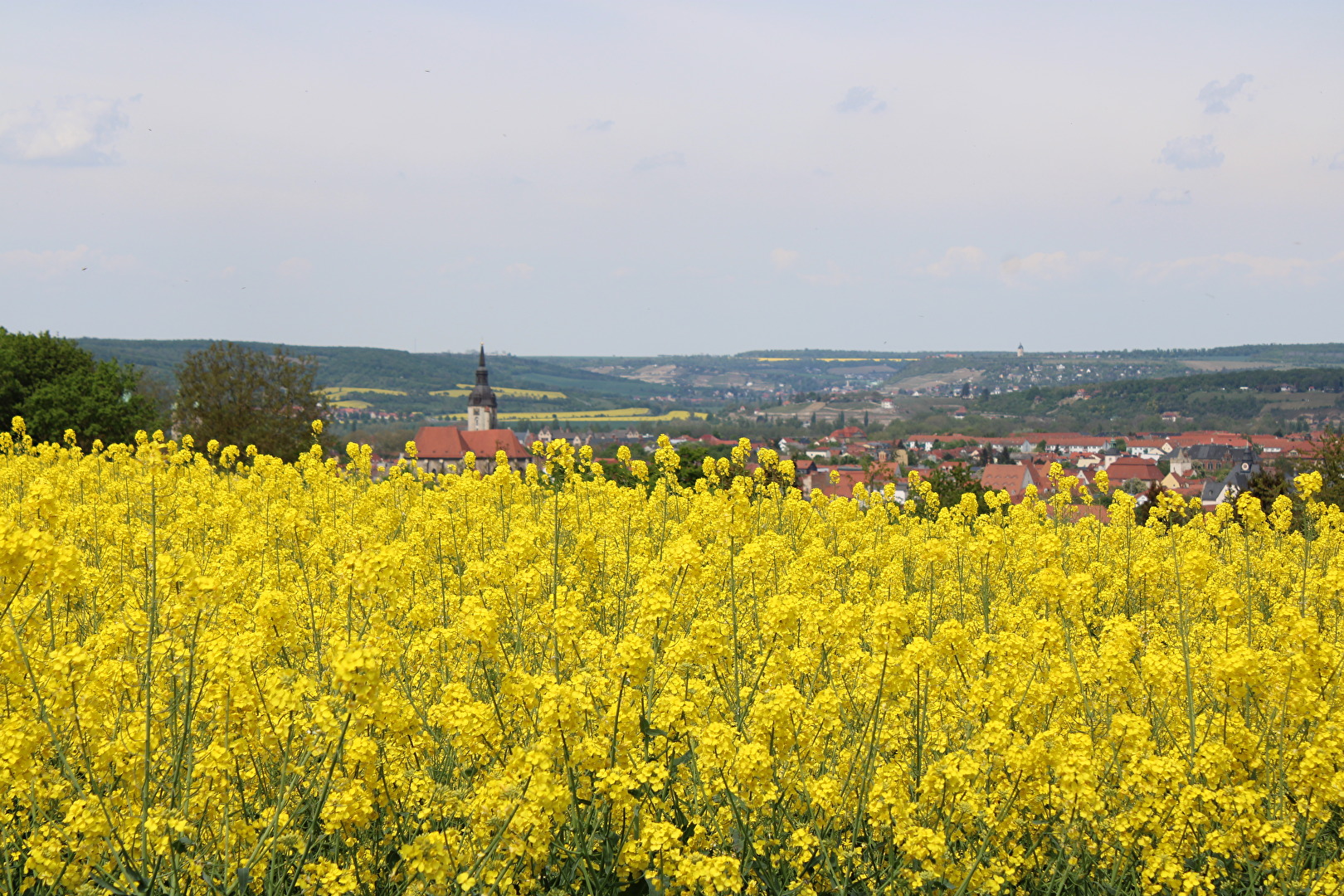 Gelb