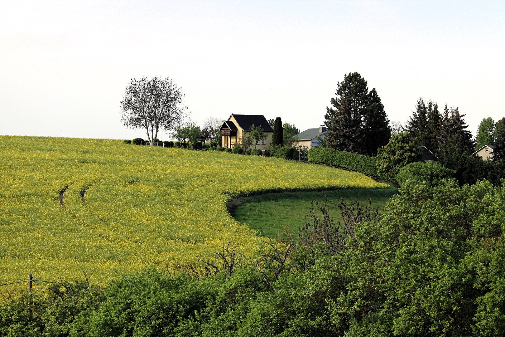 Gartenanlage am Rapsfeld