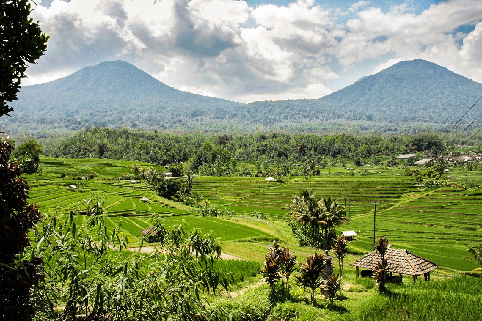 #Landschaft - Bali