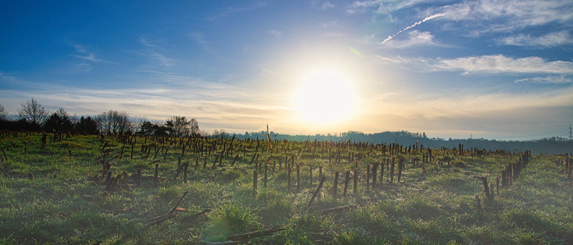 Dezembermorgen auf dem Stoppelfeld