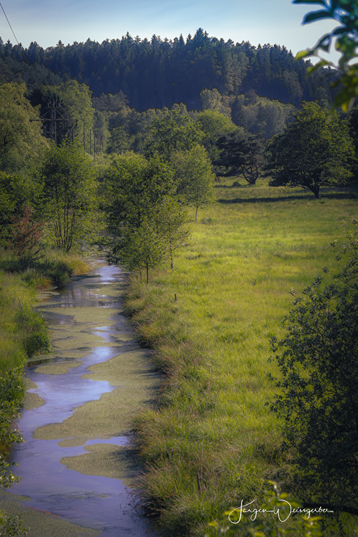 Verträumter Bachlauf